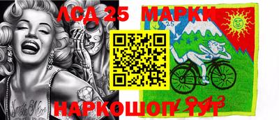стаф Дубна