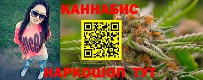 стаф Дубна