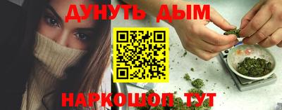 стаф Дубна