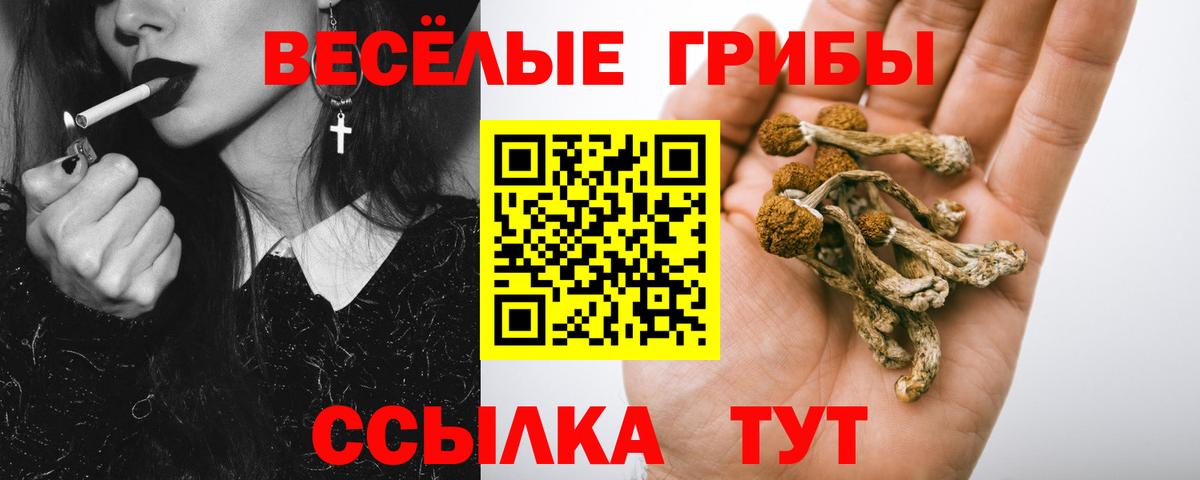 Псилоцибиновые грибы мухоморы  Вход с VPN  Галлюциногенные грибы Cubensis  Мыски 