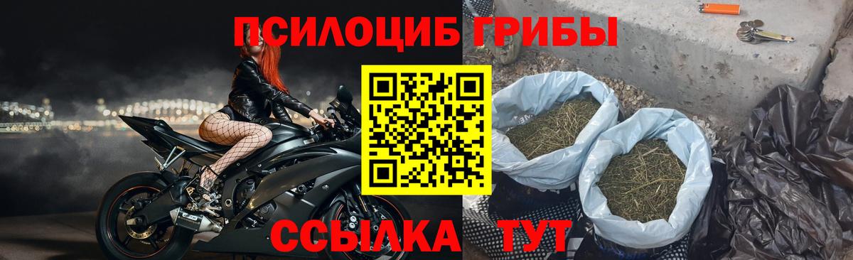 Галлюциногенные грибы Magic Shrooms Мыски