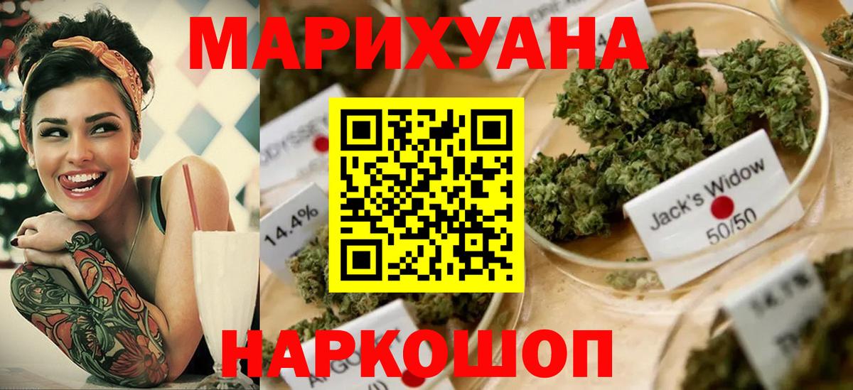 Каннабис OG Kush  Вход с VPN  Мыски  Конопля конопля  Канабис семена 